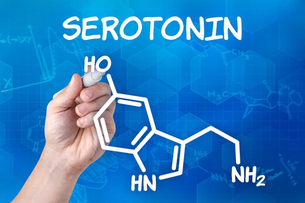 Роль серотонина в развитии депрессии