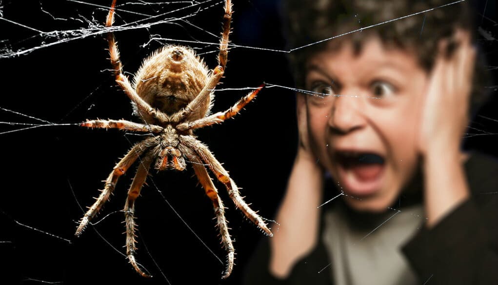Арахнофобия (страх пауков)